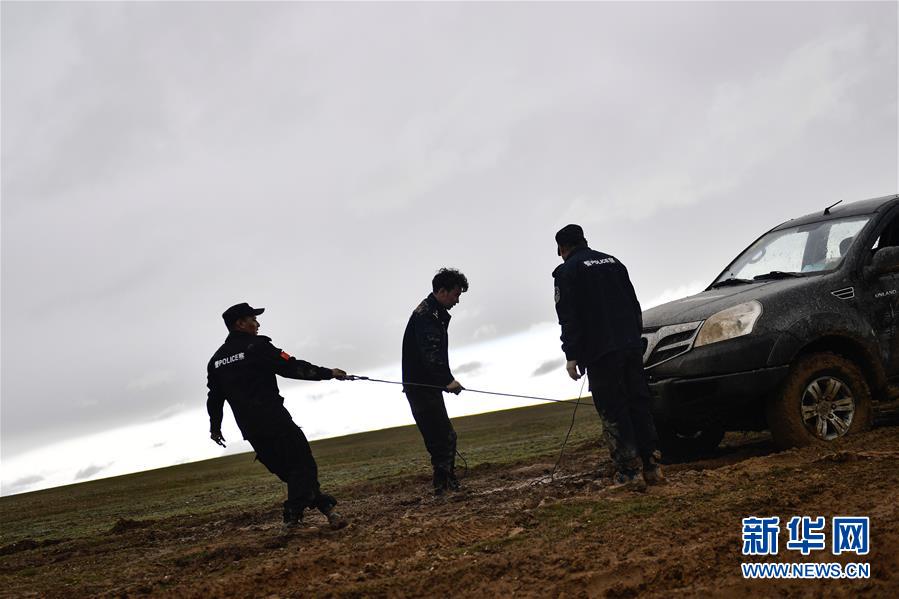 （圖文互動）（10）記者手記：可可西里，“挪”向“藏羚羊大產(chǎn)房”的14個半小時