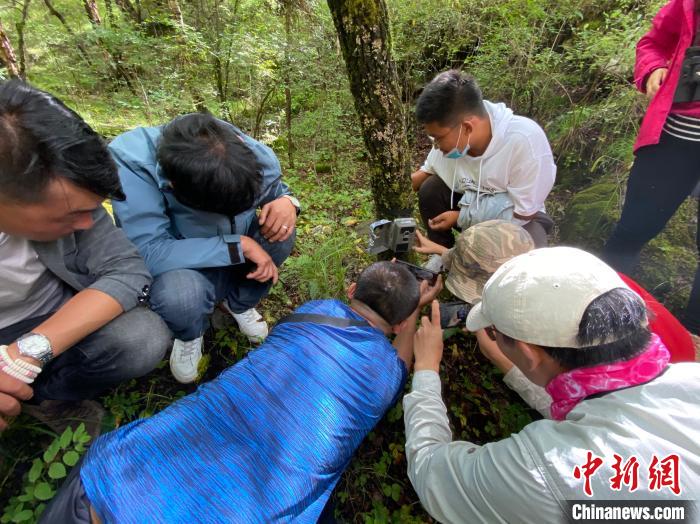 圖為訪客正在查看紅外相機(jī)中的拍攝畫面?！±罱瓕?攝