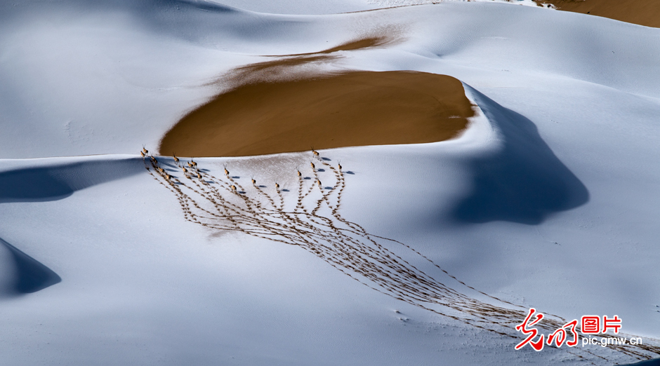 三江源國家公園正式設立，這是青海生態(tài)文明建設的新答卷