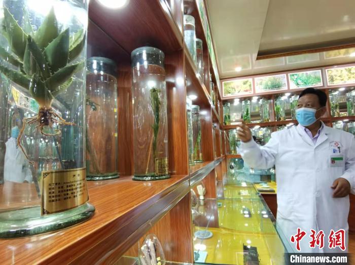 甘肅省甘南藏族自治州碌曲縣藏醫(yī)院副院長(zhǎng)看照加近30年的從醫(yī)工作，堅(jiān)持中藏醫(yī)特色優(yōu)勢(shì)相結(jié)合診療方法。　張婧 攝