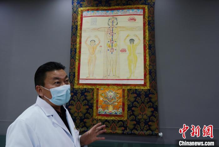 圖為興?？h藏醫(yī)院院長(zhǎng)介紹藏醫(yī)四部醫(yī)典詳實(shí)圖?！●R銘言 攝