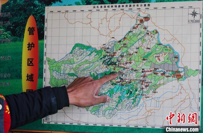 圖為桑杰加介紹管護(hù)區(qū)域分布。　馬銘言 攝