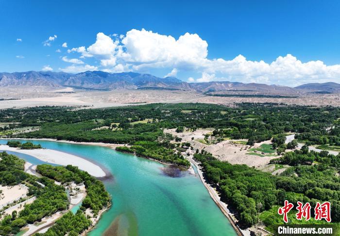 航拍貴德縣黃河岸畔綠意盎然。　馬銘言 攝