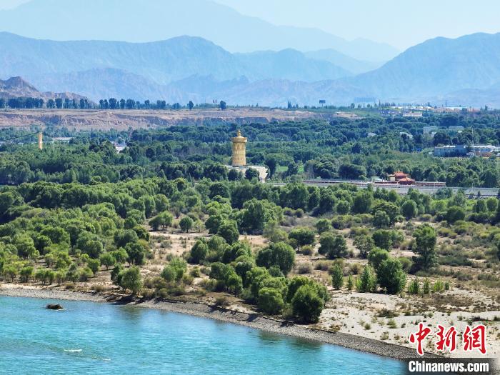 航拍貴德縣黃河岸畔綠意盎然?！●R銘言 攝