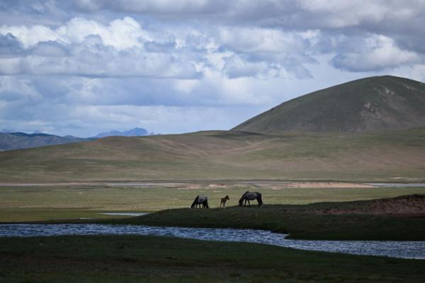 唐古拉山腳下，聽牧民講述長江源生活變遷