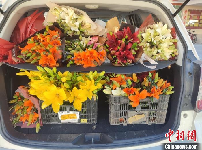 剛剛采摘下來的百合花?！∪捞量h委宣傳部供圖