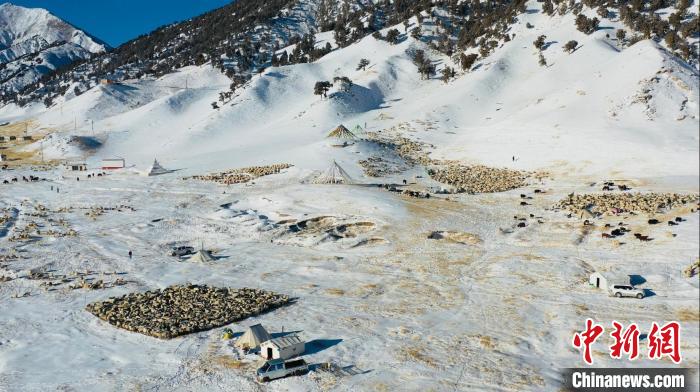 圖為無(wú)人機(jī)航拍牧場(chǎng)?！《继m縣融媒體中心供圖