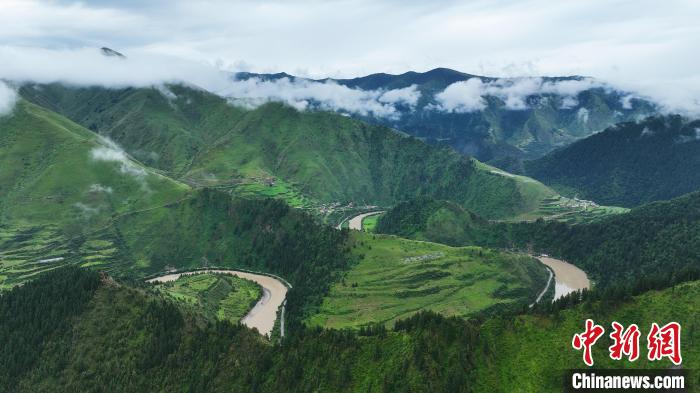 資料圖為果洛州境內(nèi)瑪可河國(guó)家森林公園。　馬銘言 攝