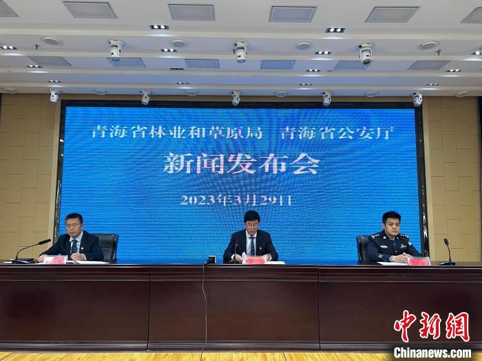 青海去年占用林地、草地準(zhǔn)予許可件同比實(shí)現(xiàn)“雙減”