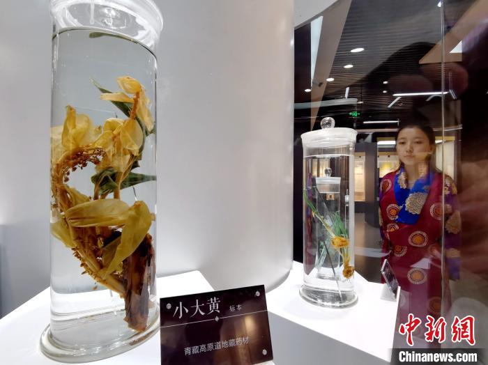 青海中藏醫(yī)藥發(fā)展提速：建設(shè)一批重點(diǎn)?？茖W(xué)科，推廣一批適宜技術(shù)