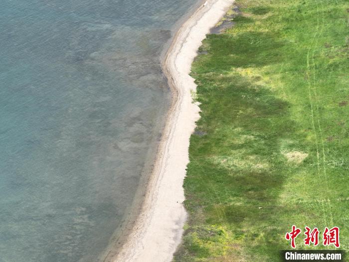 圖為航拍仲夏時節(jié)，青海湖畔綠茵如毯?！∑钤鲚?攝
