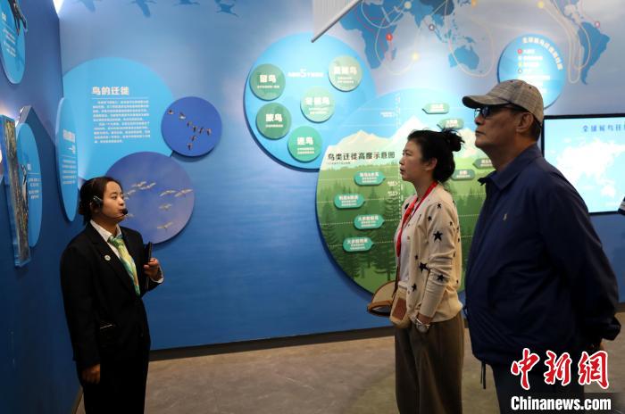 圖為臺(tái)商在祁連山國(guó)家公園生態(tài)科普館內(nèi)聆聽(tīng)講解?！⊙Φ?攝