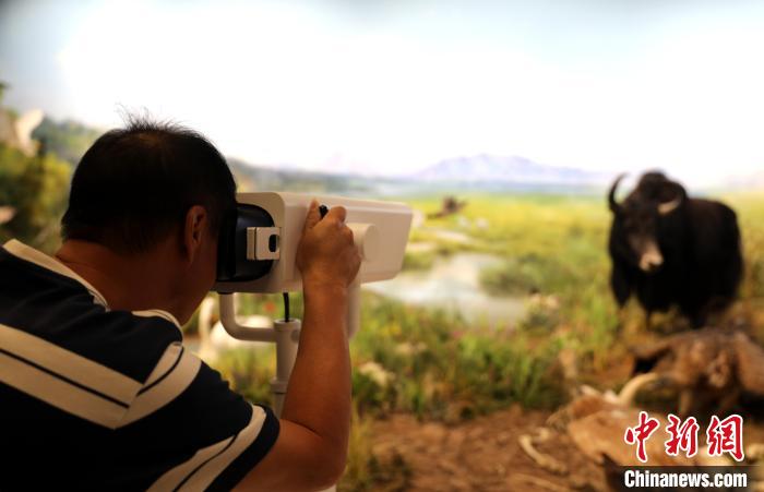 圖為臺(tái)商觀看祁連山國(guó)家公園生態(tài)科普館內(nèi)生態(tài)場(chǎng)景?！⊙Φ?攝