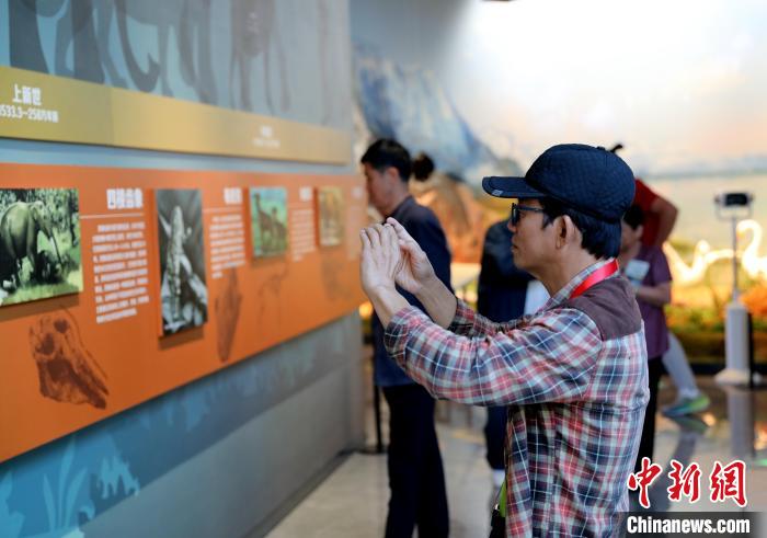 圖為臺(tái)商在祁連山國(guó)家公園生態(tài)科普館觀看墻面藝術(shù)圖文?！⊙Φ?攝