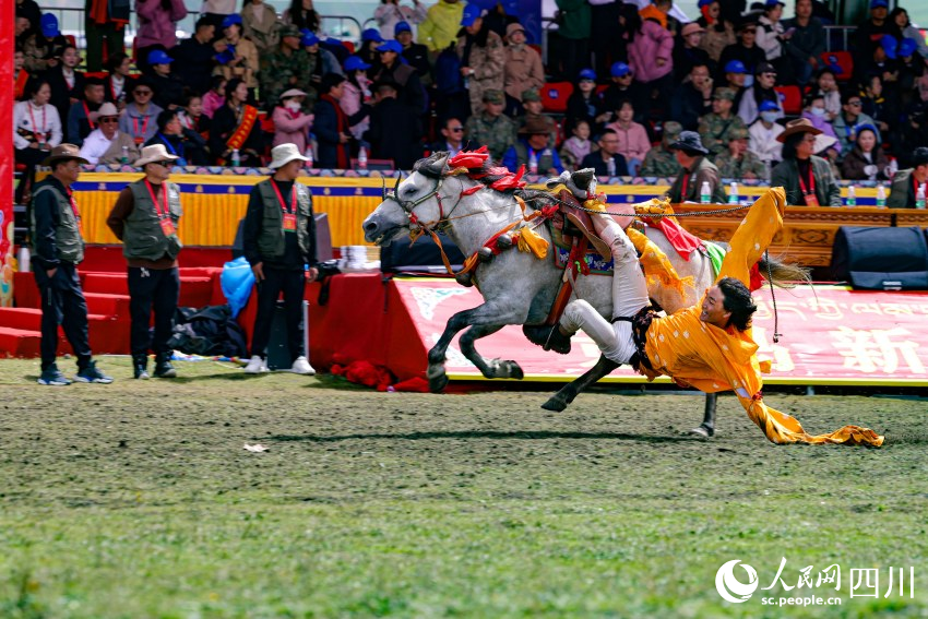 馬術表演現場。洛絨尼瑪攝