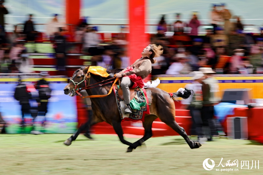 馬術表演現場。洛絨尼瑪攝