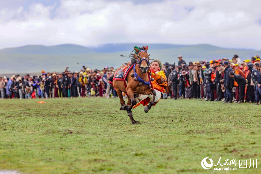 馬術表演現場。洛絨尼瑪攝