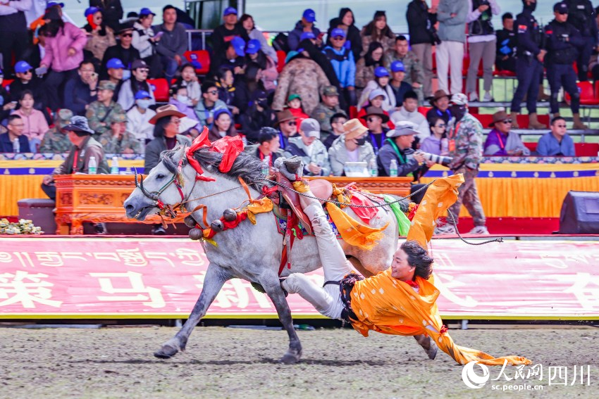 馬術表演現場。洛絨尼瑪攝