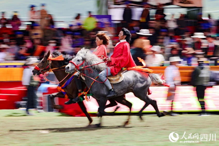 馬術表演現場。洛絨尼瑪攝