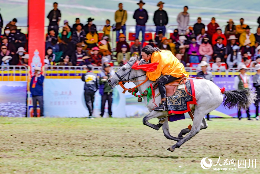 馬術表演現場。洛絨尼瑪攝