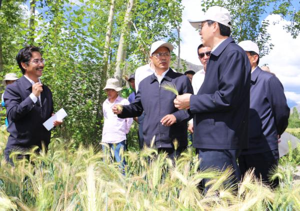 全國表彰大會(huì)上，為什么只有他沒到？