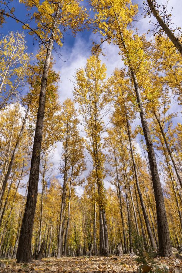 跟我，踏上最美“景觀大道”