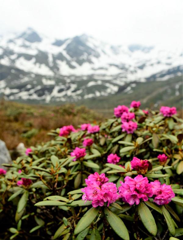 跟我，踏上最美“景觀大道”