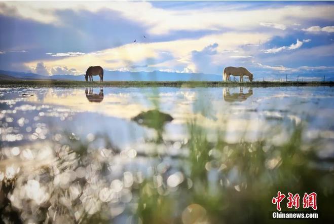 資料圖：那曲市申扎縣境內(nèi)的濕地。李雪峰 攝