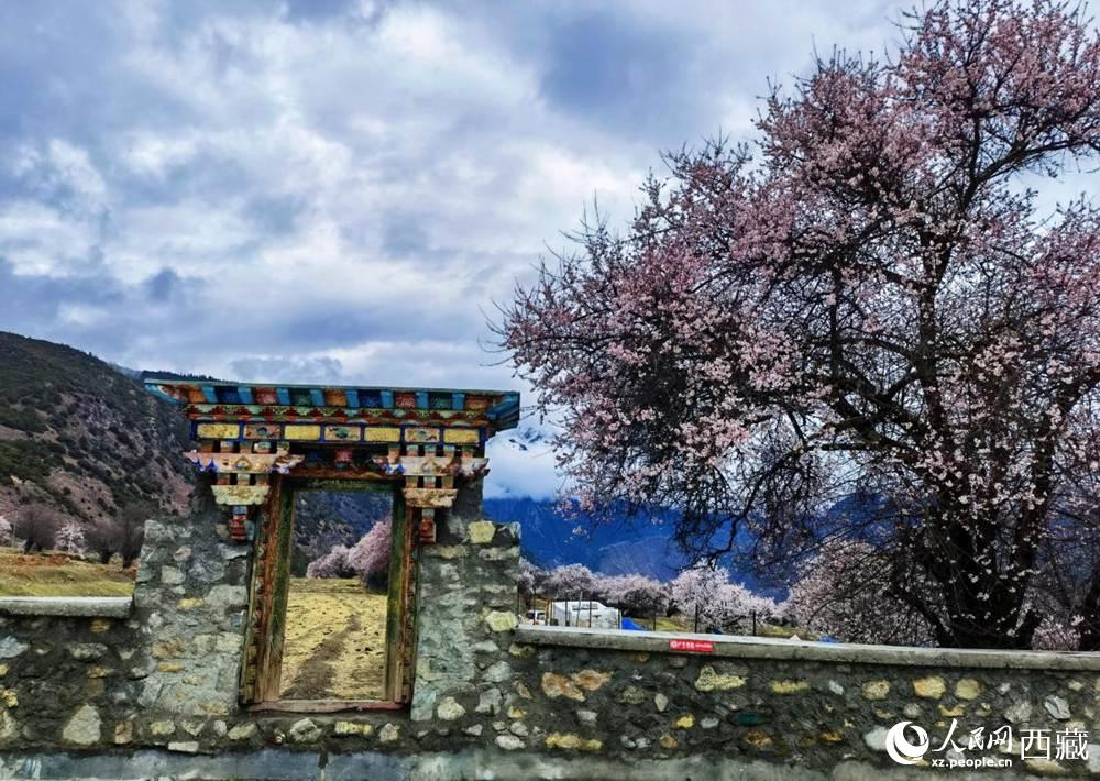 桃花下的藏式民居。人民網(wǎng) 李海霞攝