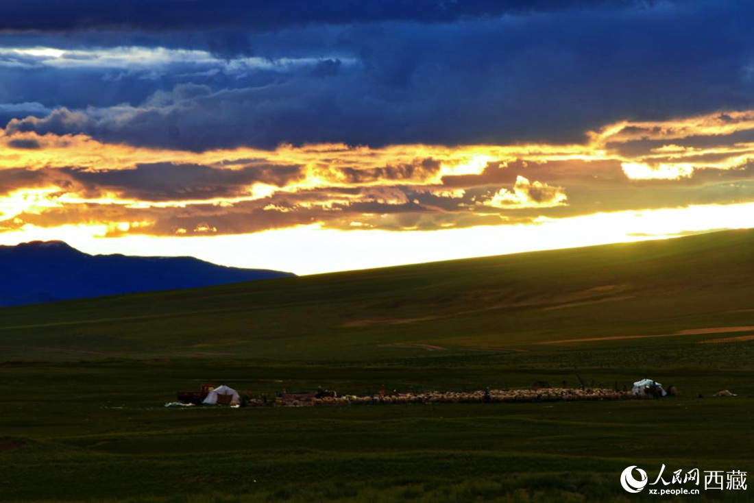 黃昏下的帳篷，牧民過著幸福生活。 人民網(wǎng) 李海霞攝