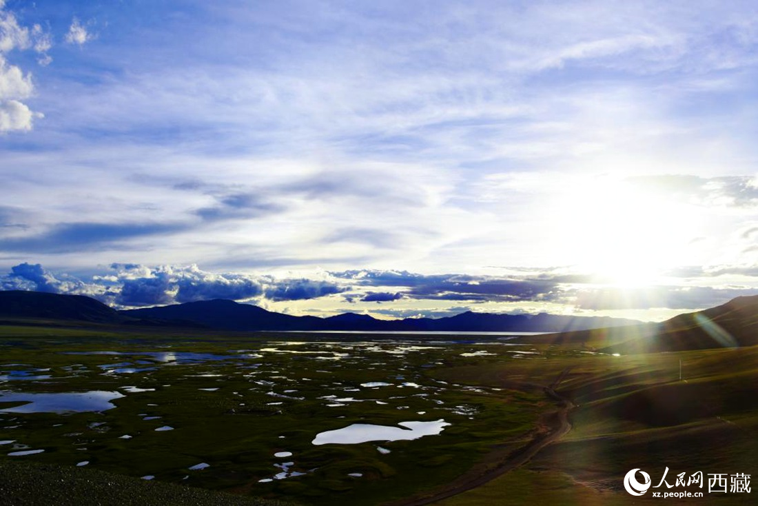 七月的羌塘草原處處是景。人民網(wǎng) 李海霞攝