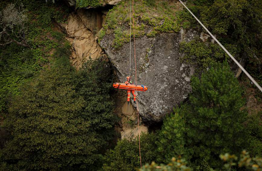 叢林中的橙色身影。西繞拉翁攝