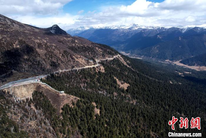 2月17日，西藏林芝魯朗林海。(無人機照片) 李林 攝