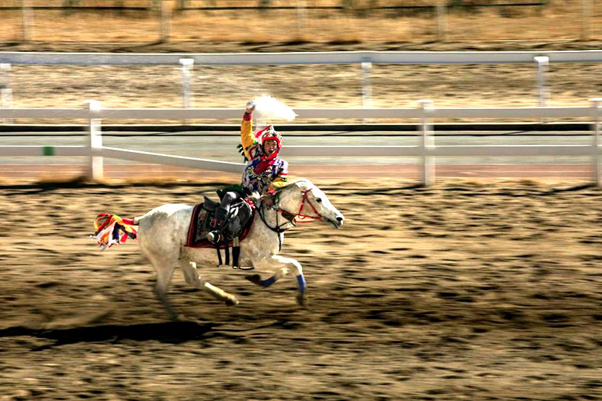 藏歷新年，精彩的馬術(shù)表演。張靜攝