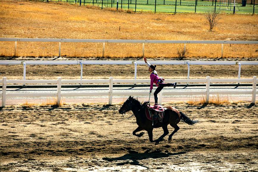 藏歷新年，精彩的馬術(shù)表演。張靜攝