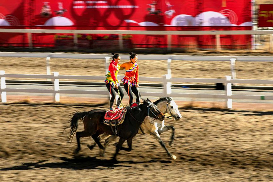 藏歷新年，精彩的馬術(shù)表演。張靜攝
