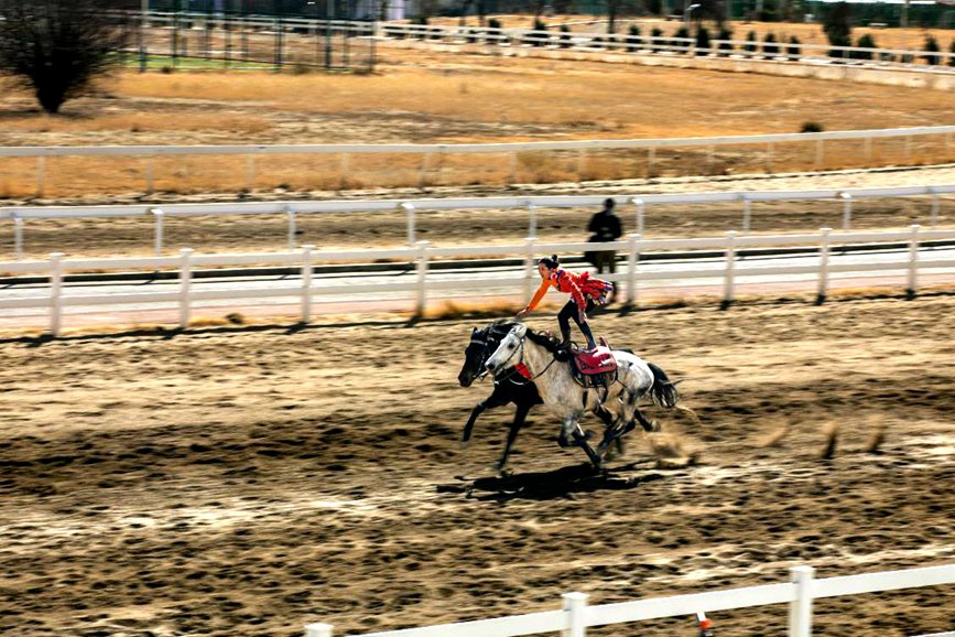 藏歷新年，精彩的馬術(shù)表演。張靜攝