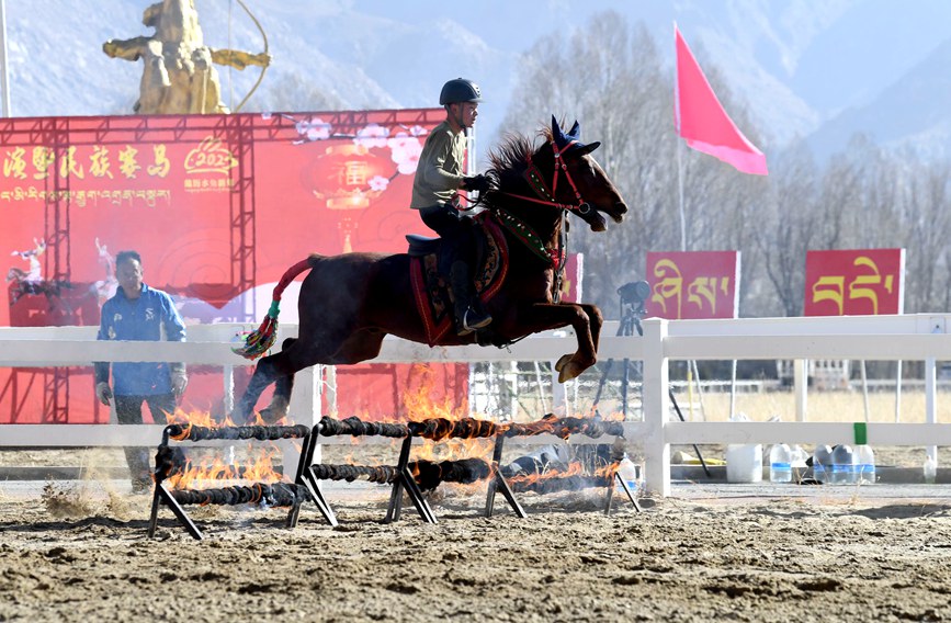 藏歷新年，精彩的馬術(shù)表演。潘多攝