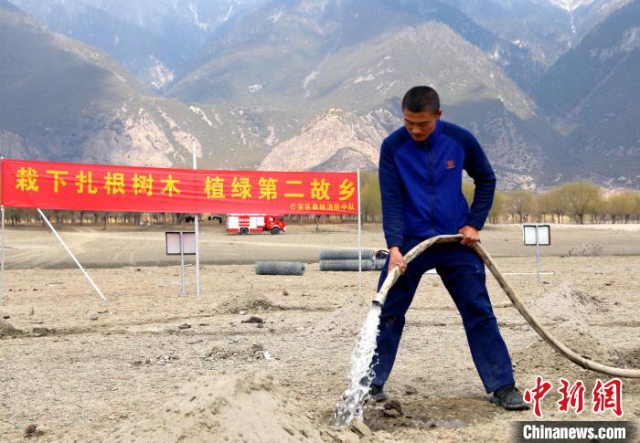 林芝市巴宜區(qū)森林消防中隊(duì)志愿服務(wù)隊(duì)澆水灌溉?！∥骼@拉翁 攝