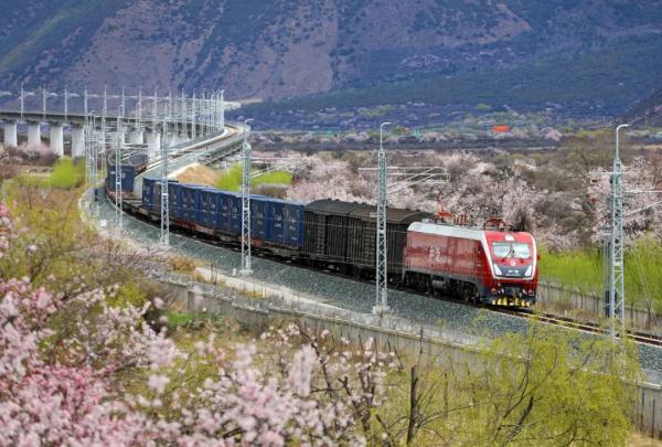 人間桃花源！林芝桃花有多絕？