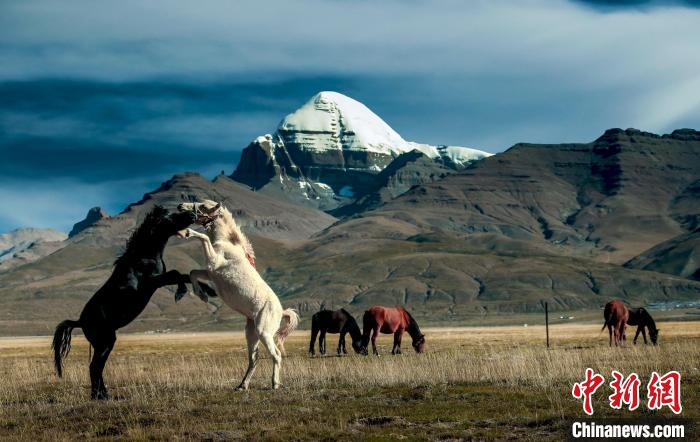 圖為參展攝影師拍攝的西藏阿里岡仁波齊?！≈鬓k方 供圖