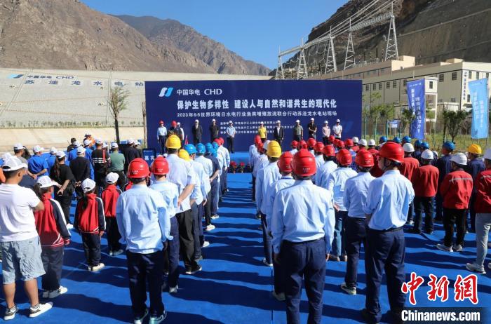 圖為蘇洼龍水電站魚類放流現(xiàn)場?！√K洼龍水電站供圖