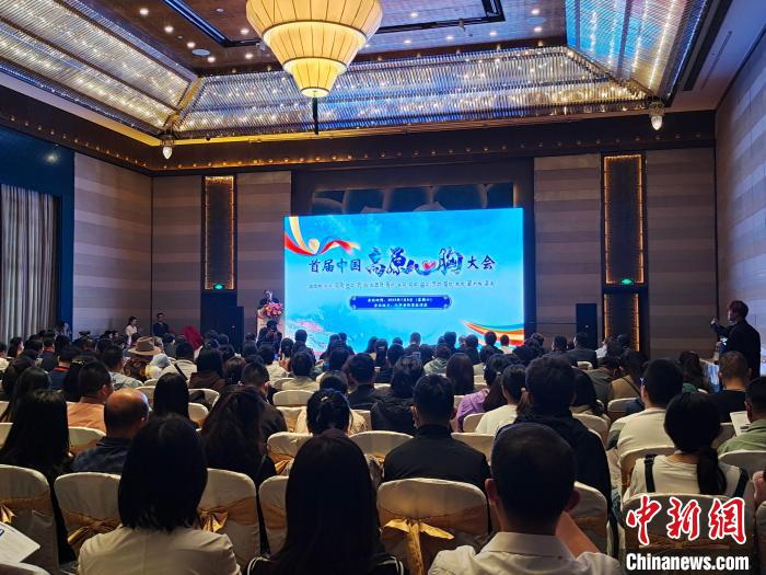 圖為首屆中國(guó)高原心胸大會(huì)現(xiàn)場(chǎng)?！☆D旦旺姆 攝