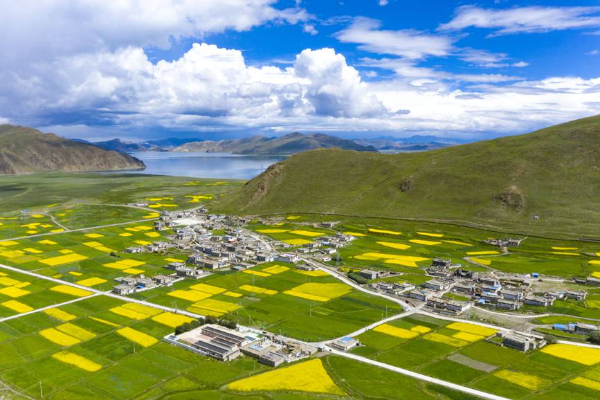 航拍道布龍村，依山傍水，阡陌縱橫。