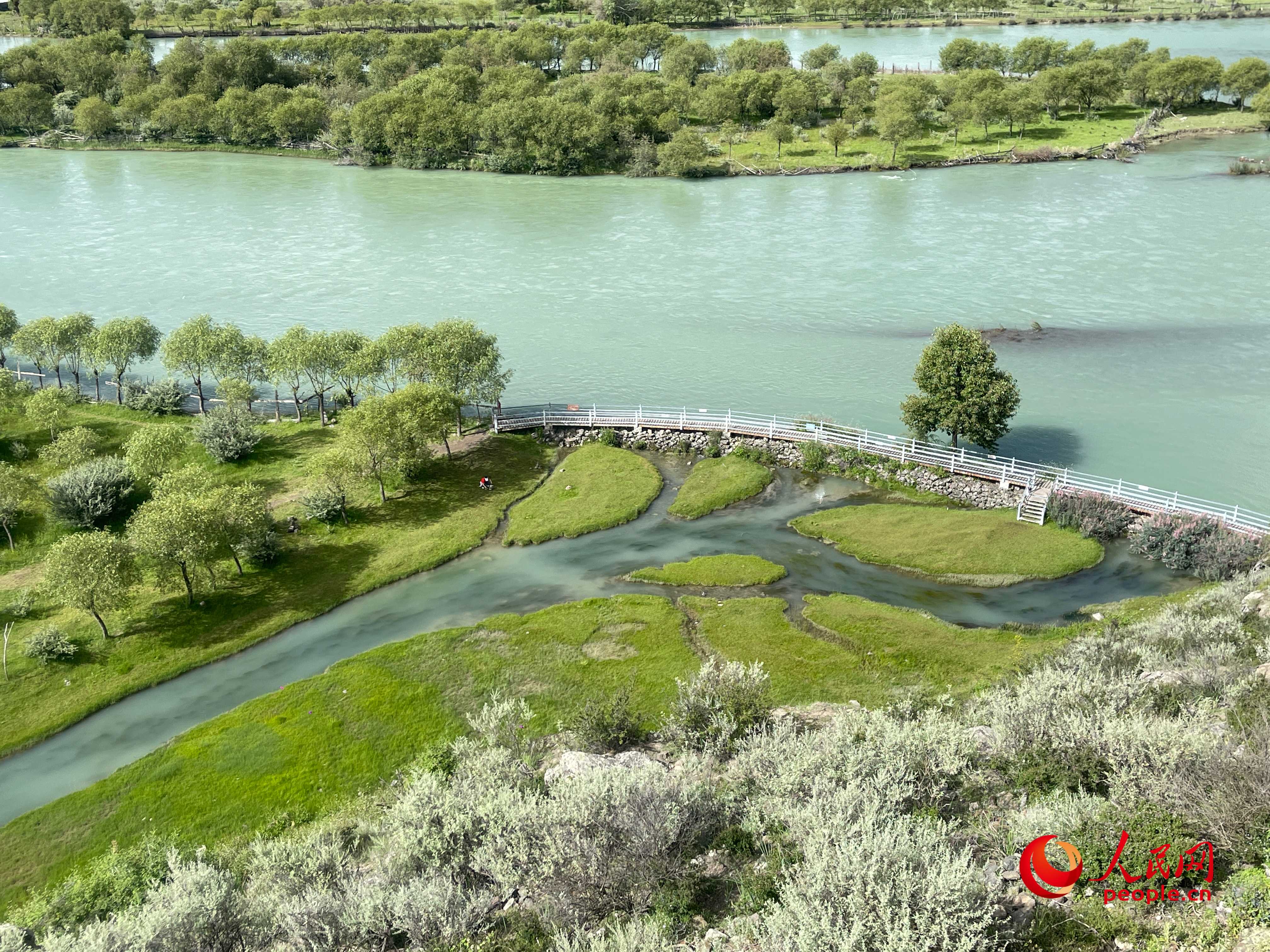 夏日的雅尼國家濕地公園生機(jī)盎然，如詩如畫。人民網(wǎng) 周靜圓攝