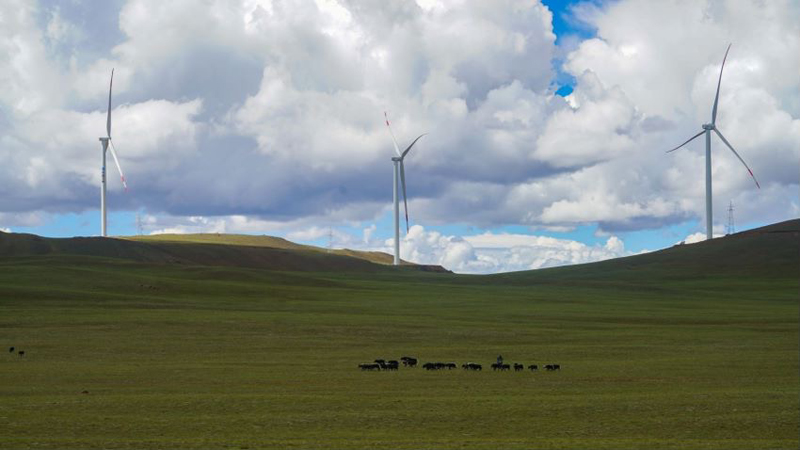 西藏措美哲古風(fēng)電場首批3.6兆瓦風(fēng)電機組并網(wǎng)發(fā)電。受訪者供圖