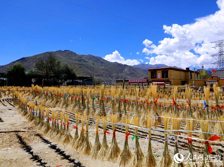 幸福生活曬出來。人民網(wǎng) 李海霞攝