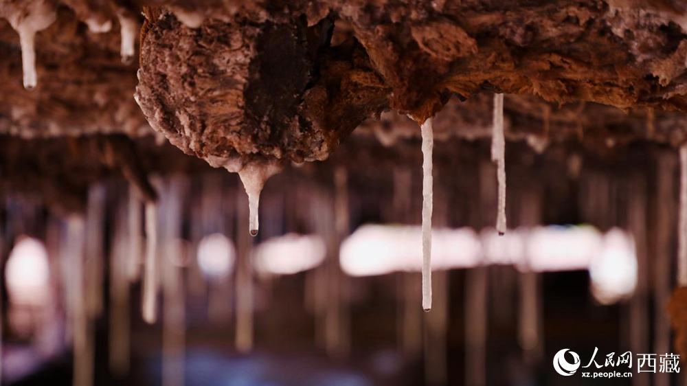 自然滲下的鹽柱結晶。人民網(wǎng)記者 次仁羅布攝