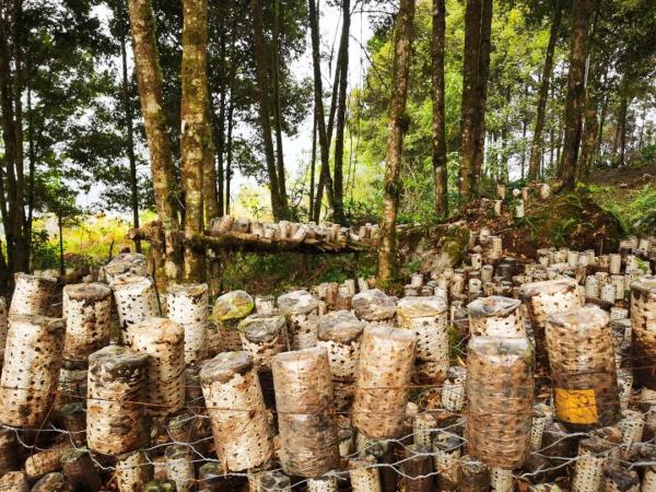 幾代建設者，歷經(jīng)半個多世紀完成！這是一條怎樣的公路？