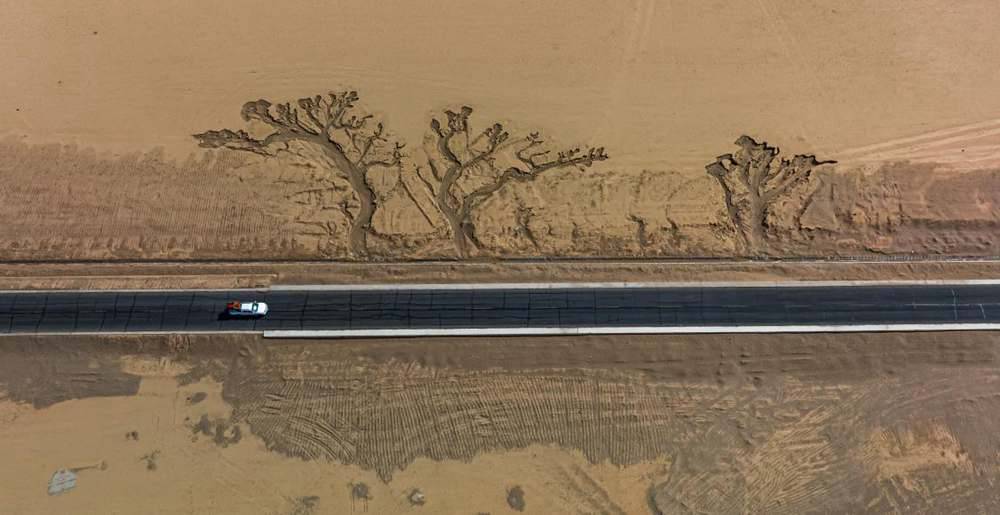 位于國(guó)道216沿線的“大地之樹”。邊巴多吉攝